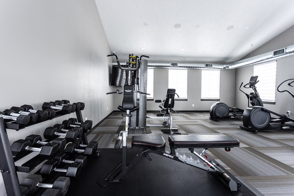 a gym with weights and cardio equipment in a home gym