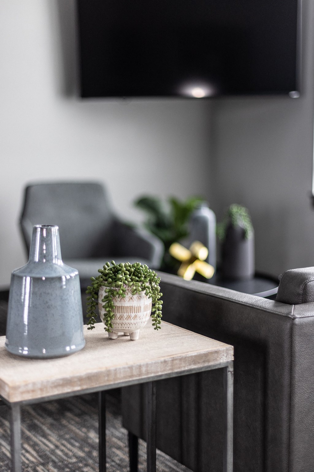 a living room with a couch and a table with a plant on it