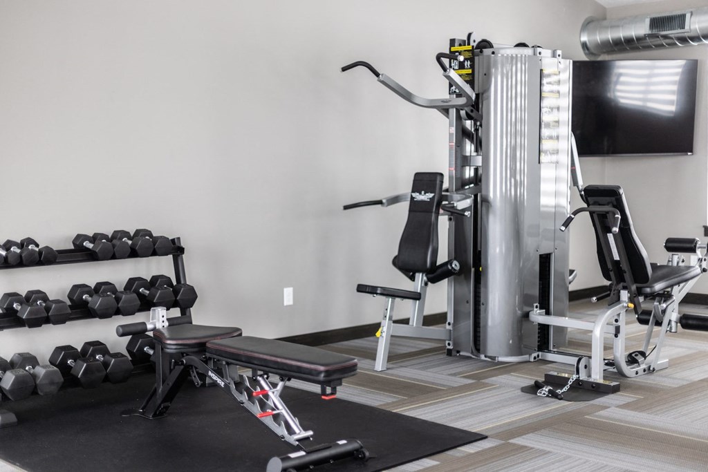a gym with weights and cardio equipment in a home gym