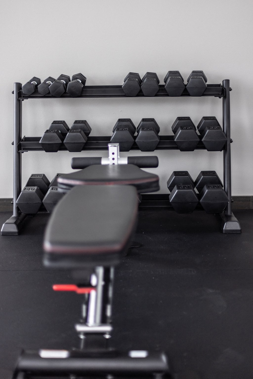 a row of dumbbells on a rack in a gym