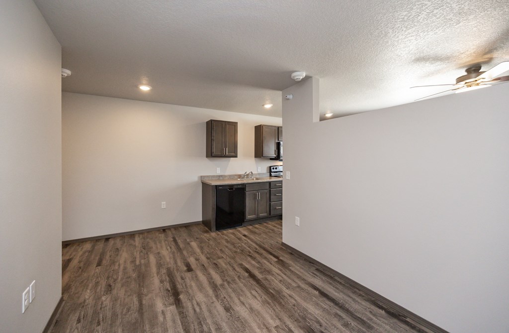 A kitchen area with a counter and cabinets.