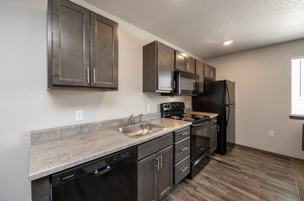 A kitchen with black appliances and cabinets.