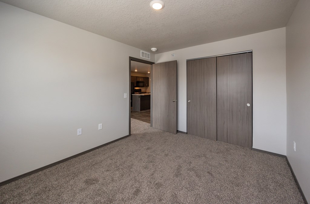 A room with carpeted floor and a closet with a door.