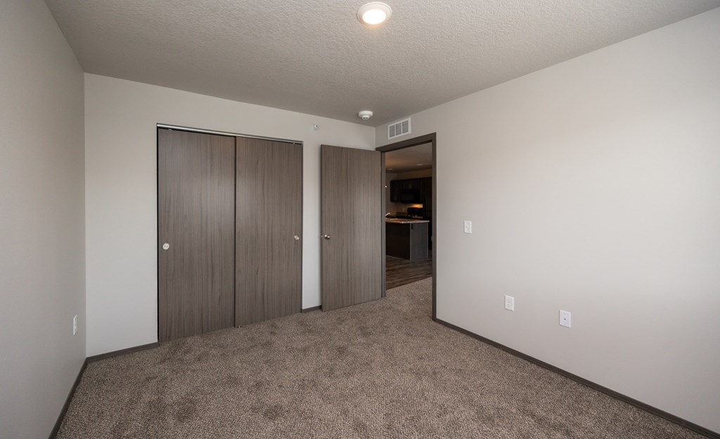 A room with carpeted floor and two closets.