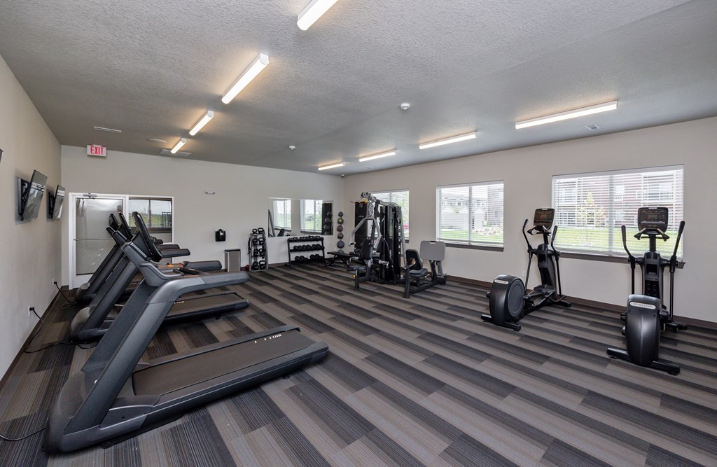 A gym with treadmills, weights, and exercise machines.
