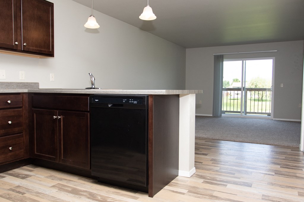 a kitchen with a sink and a dishwasher in a new home