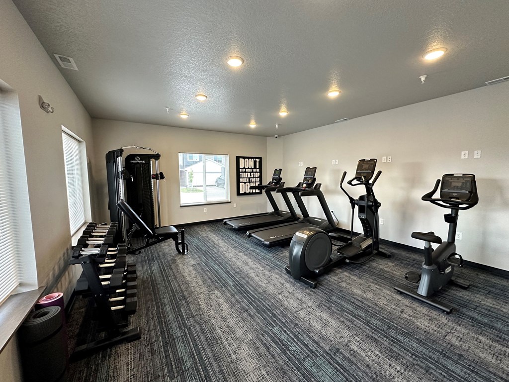 a gym with cardio machines and weights on a carpeted floor