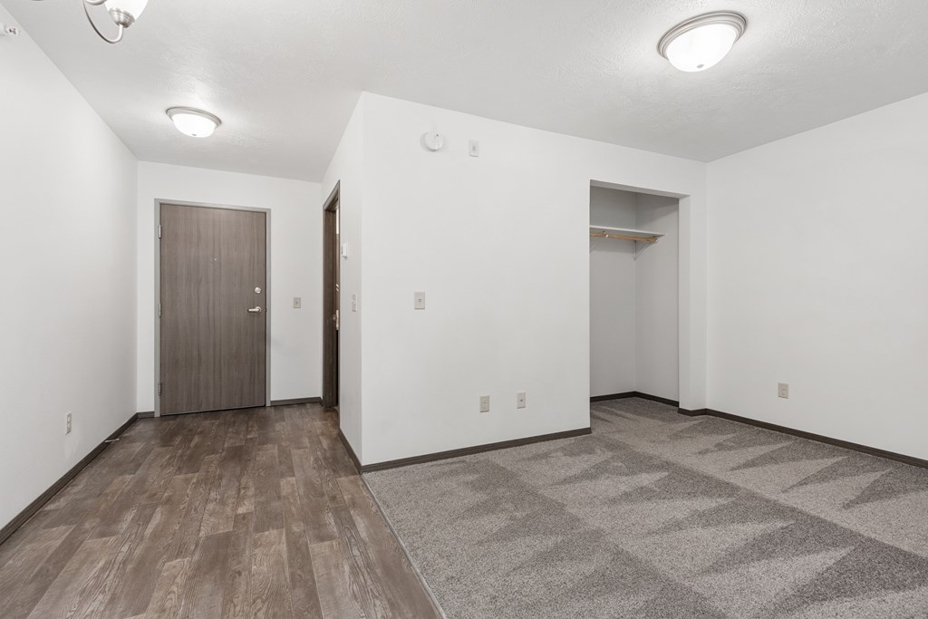 A room with a wooden floor and a brown door.