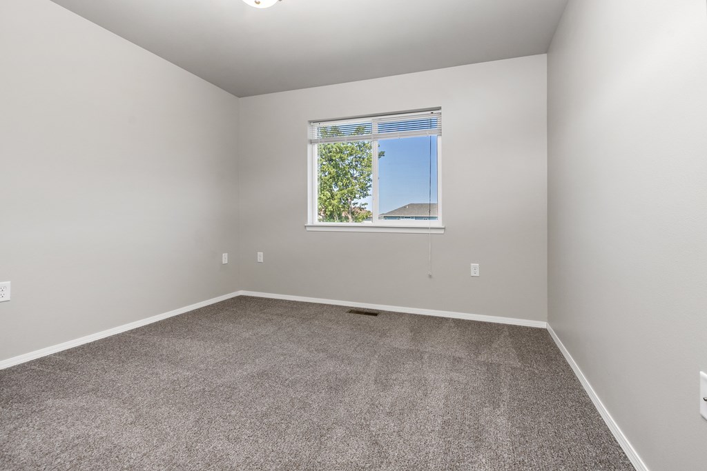 A room with a carpeted floor and a window showing a tree and a building outside.