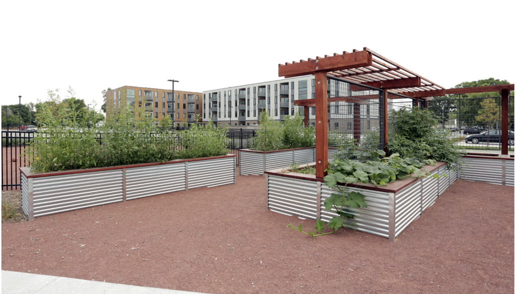 a community garden with plants and a pergola