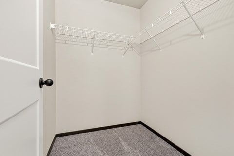 A white closet with a black door and carpeted floor.