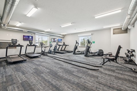 A gym with treadmills, exercise bikes, and other equipment.