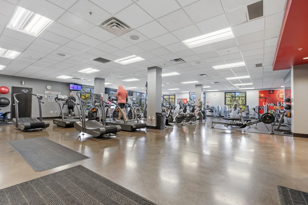 A gym with treadmills, exercise bikes, and other equipment.