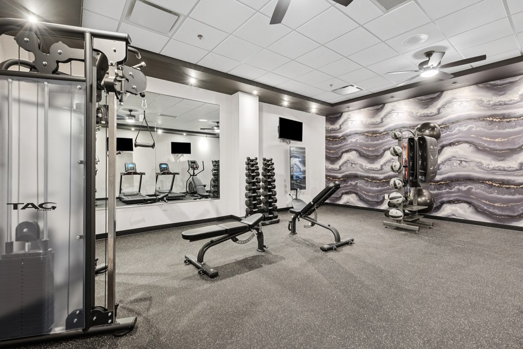 A gym with a variety of equipment including a squat rack, bench, and weights.