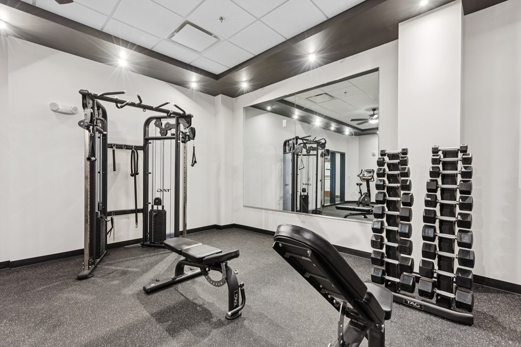A gym with a bench, weights, and a mirror.