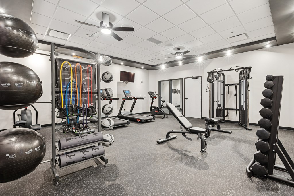 A gym with a variety of equipment including a weight bench, a squat rack, and a rowing machine.