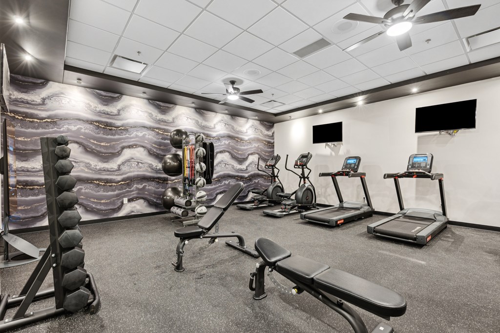 A gym with a variety of equipment including treadmills, a bench, and a weight rack.