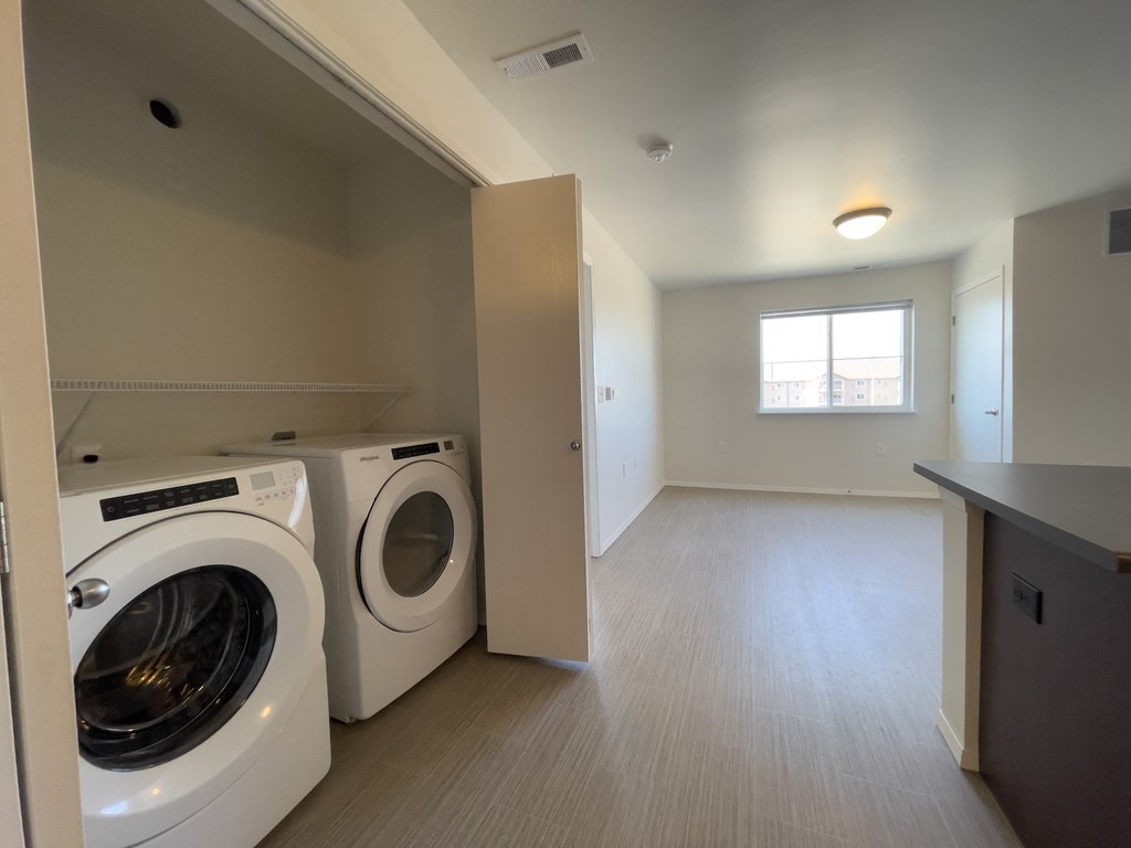 in unit laundry and living room