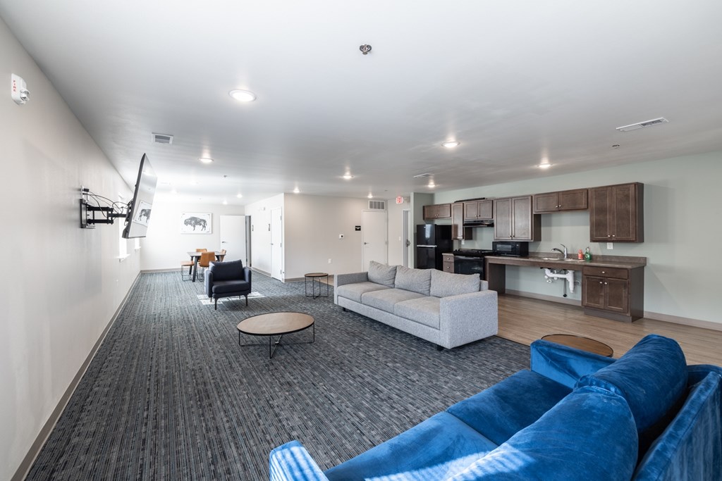 A living room with a grey carpet and a blue couch.