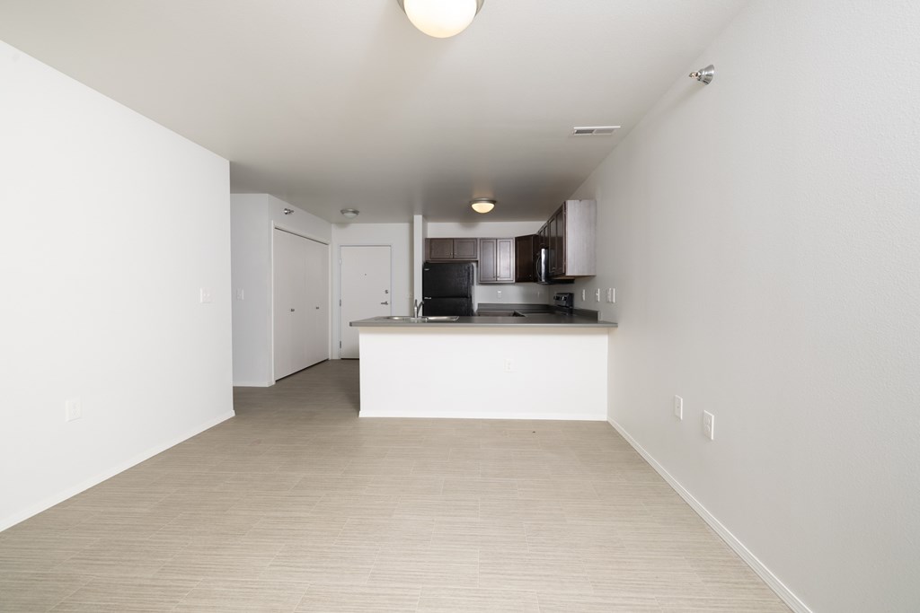 A kitchen area with a counter and cabinets.
