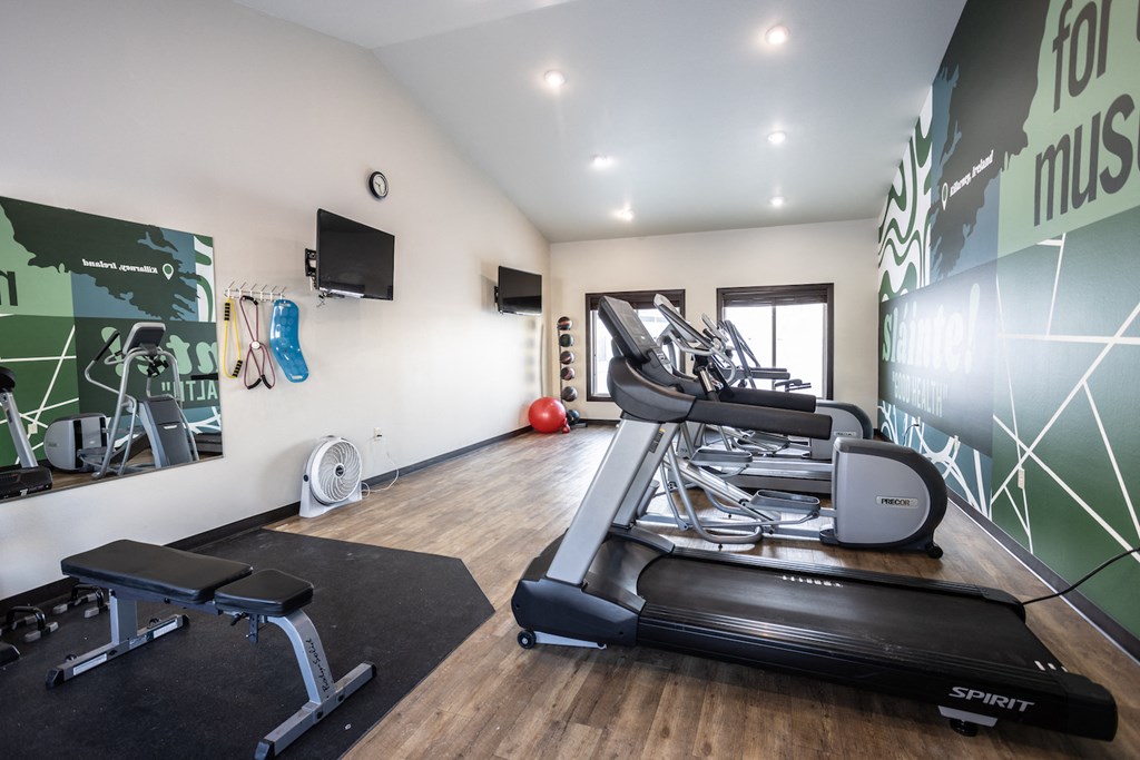 a gym with treadmills and a tv on the wall
