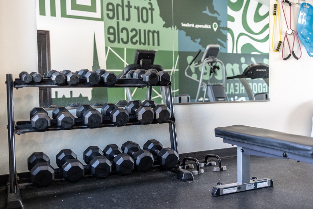 a rack of dumbbells in a gym with a bench