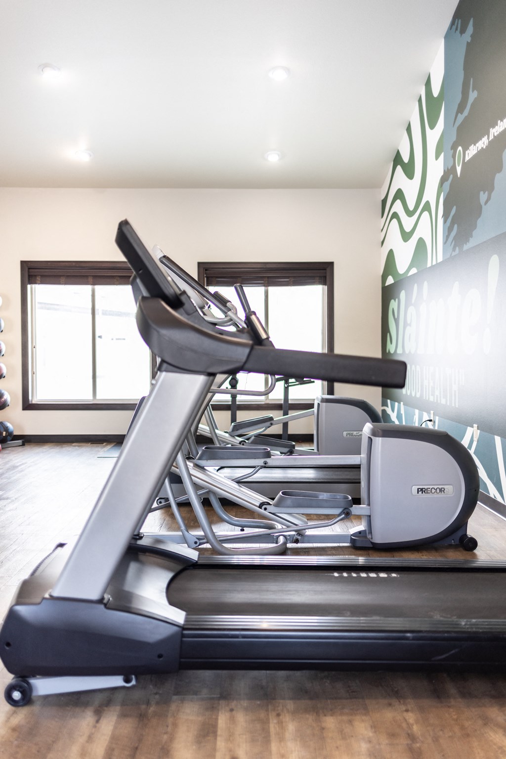 a reformer exercise bike in a gym with a wall with a mural on it