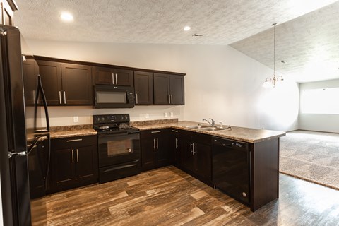 an empty kitchen with black cabinets and stainless steel appliances