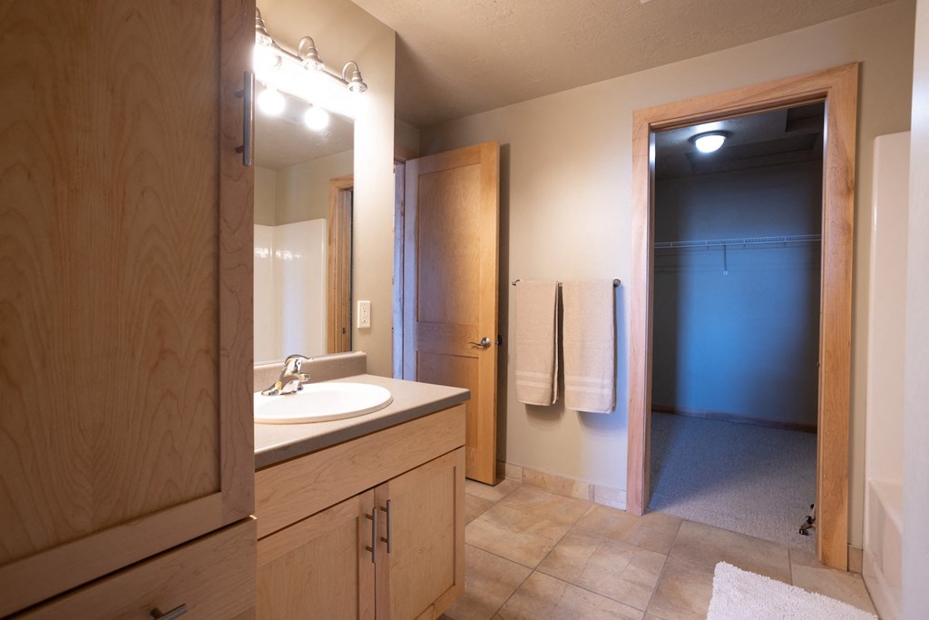 a bathroom with a sink and a mirror and a closet