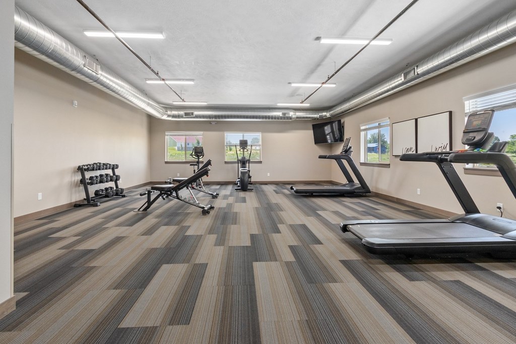 A gym with treadmills, weights, and exercise equipment.