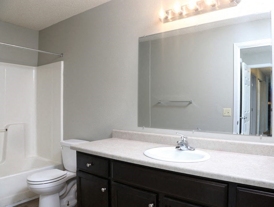 a bathroom with a sink and a toilet and a mirror