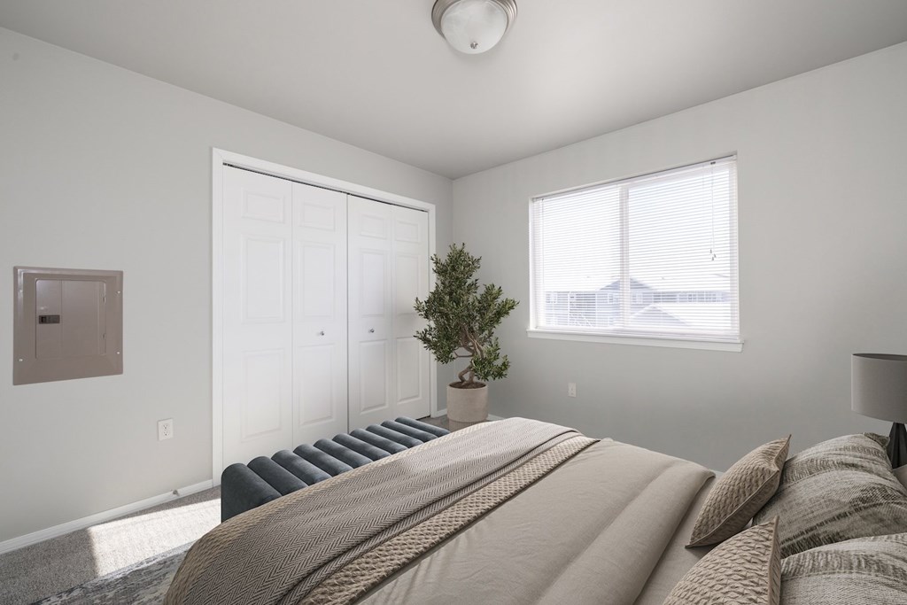 A bedroom with a large bed and a small tree in a pot.