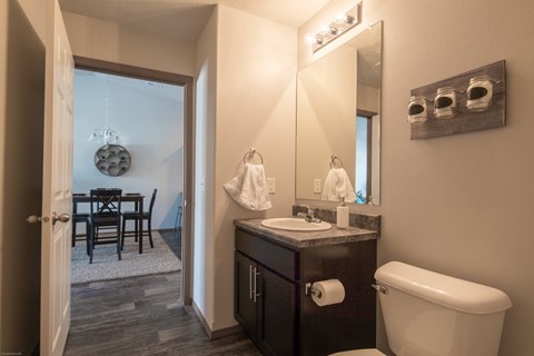 a bathroom with a toilet and a sink and a mirror