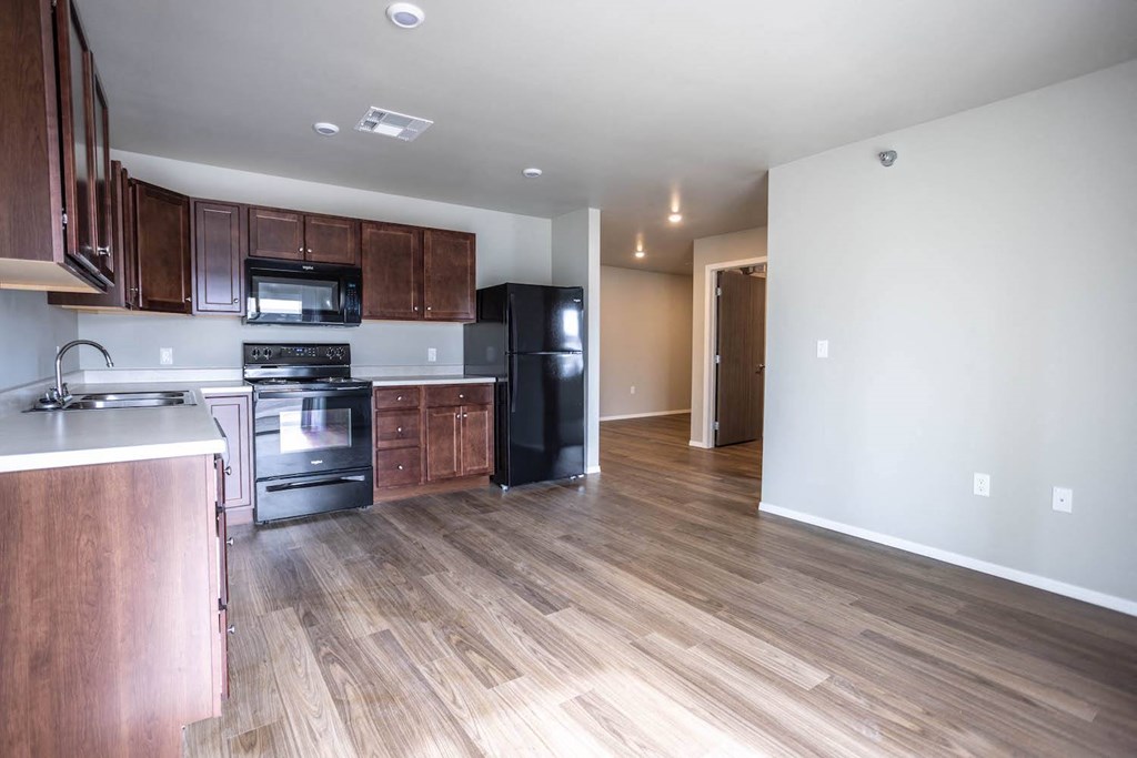 a kitchen and living room with wood flooring