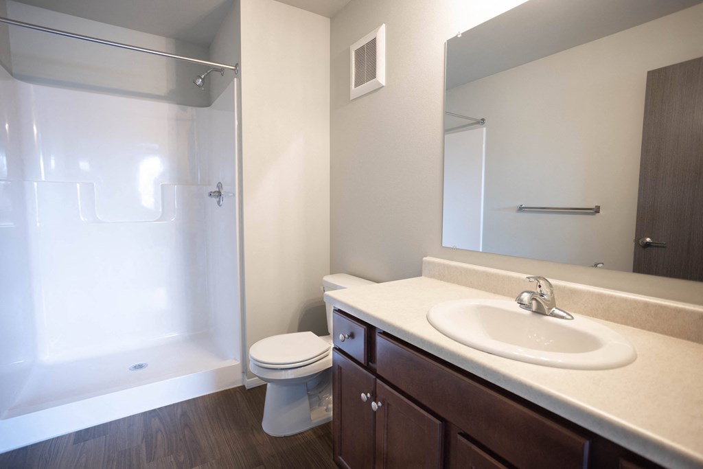 a bathroom with a sink and a shower and a toilet