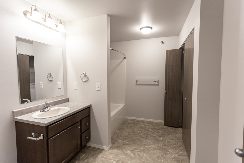 a bathroom with a sink and a shower and a mirror