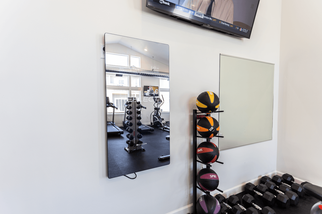 the gym with weights and a mirror on the wall