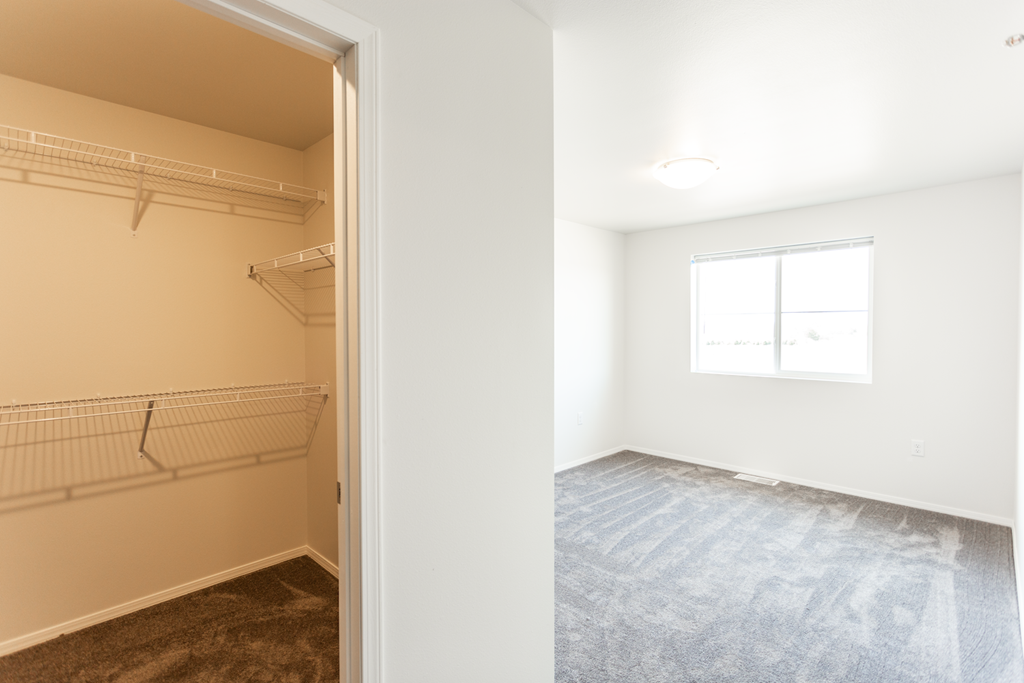 A white room with a window and a carpeted floor.