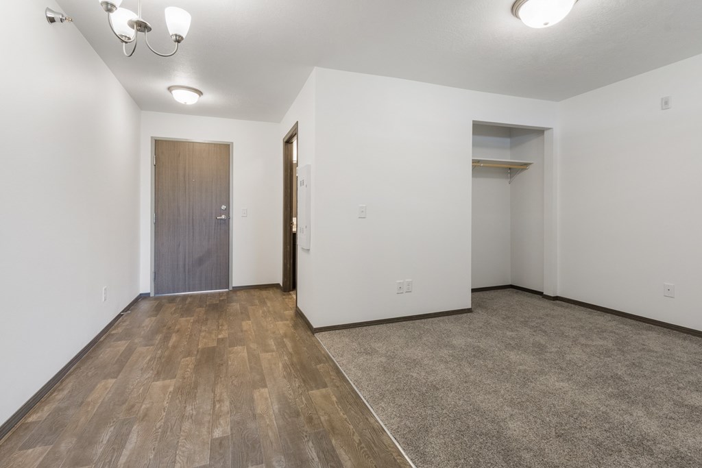 A room with a wooden floor and a grey door.