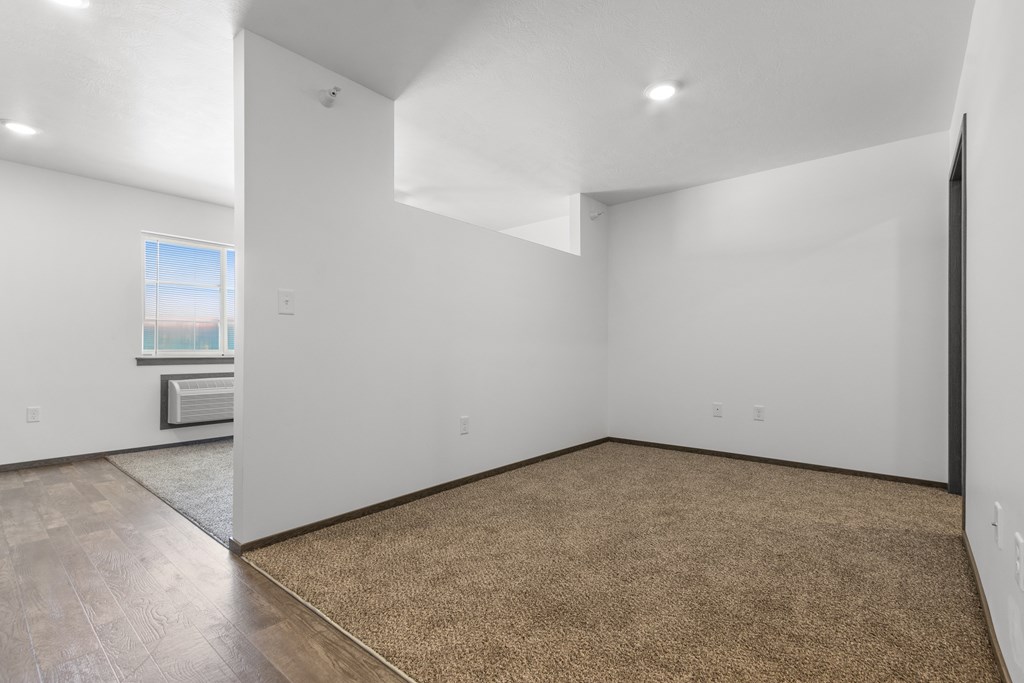 A room with a brown carpet and a window.