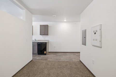 A room with a brown carpet and white walls.