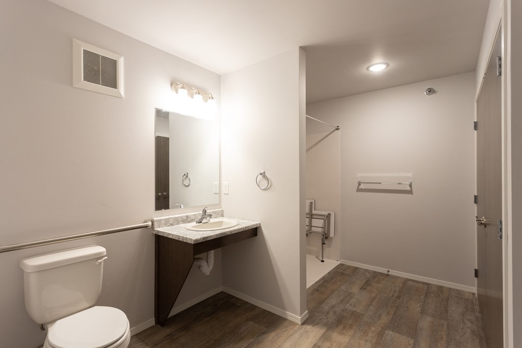 a bathroom with a toilet and a sink and a mirror