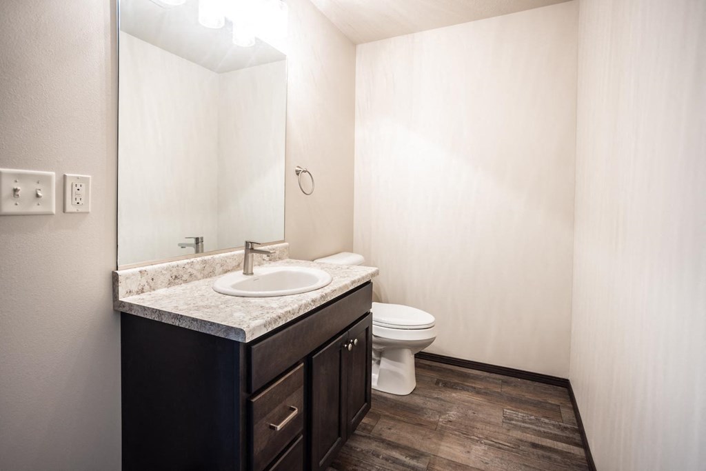 a bathroom with a sink toilet and a mirror