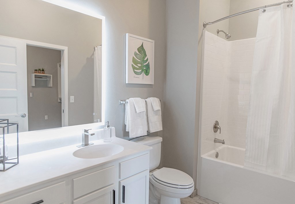 a bathroom with a shower toilet and sink and a mirror