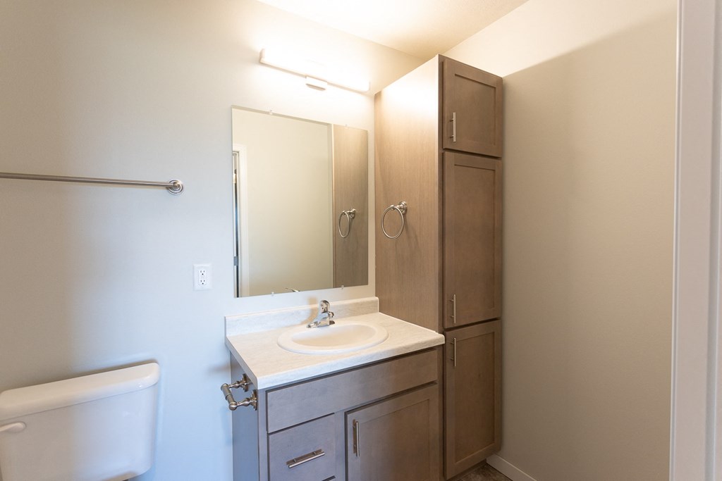 a bathroom with a sink and a mirror and a shower