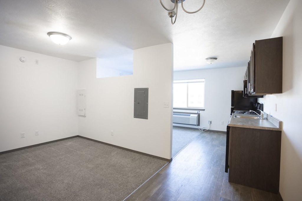 an empty living room and kitchen with a sink and a counter