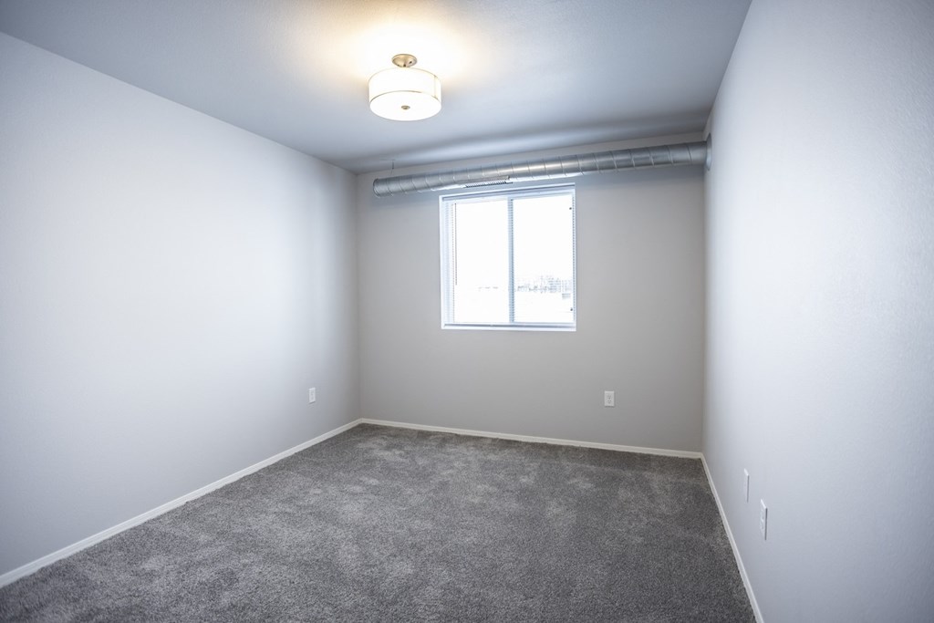 Bright, vacant bedroom with neutral walls and carpet flooring.
