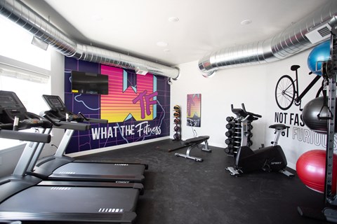 a gym with cardio equipment and a wall mural of what the floss looks like