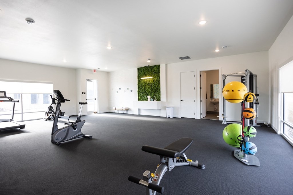 a gym with treadmills and weights in a large room with a green wall