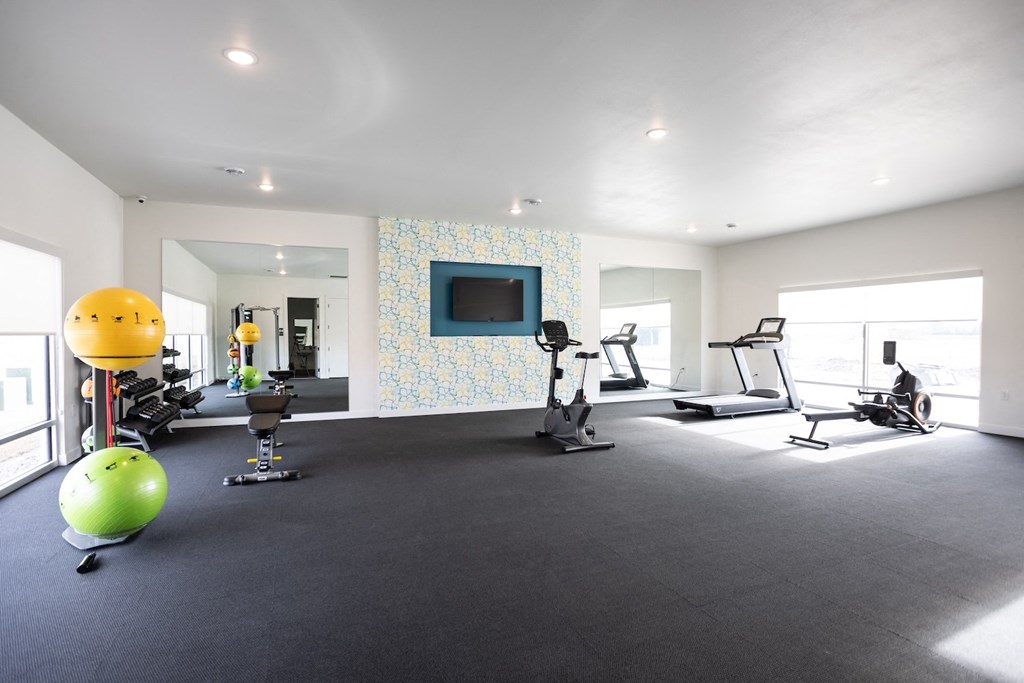 the gym has plenty of exercise equipment and a television